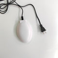 Poultry Thermostatic Bird Bath Heater Water Heater Deicer