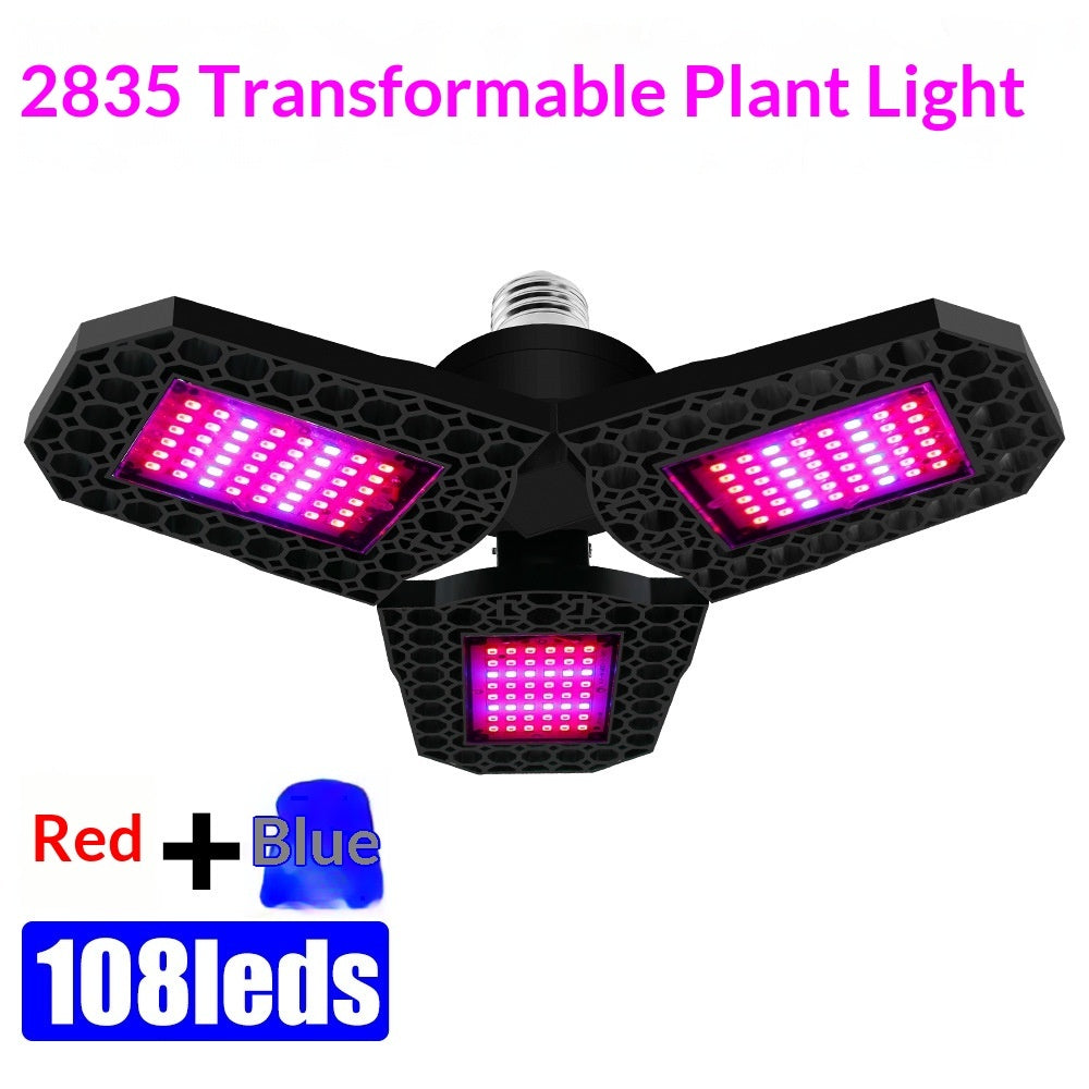 31d5021b6493d1ab2476b07fd0600639