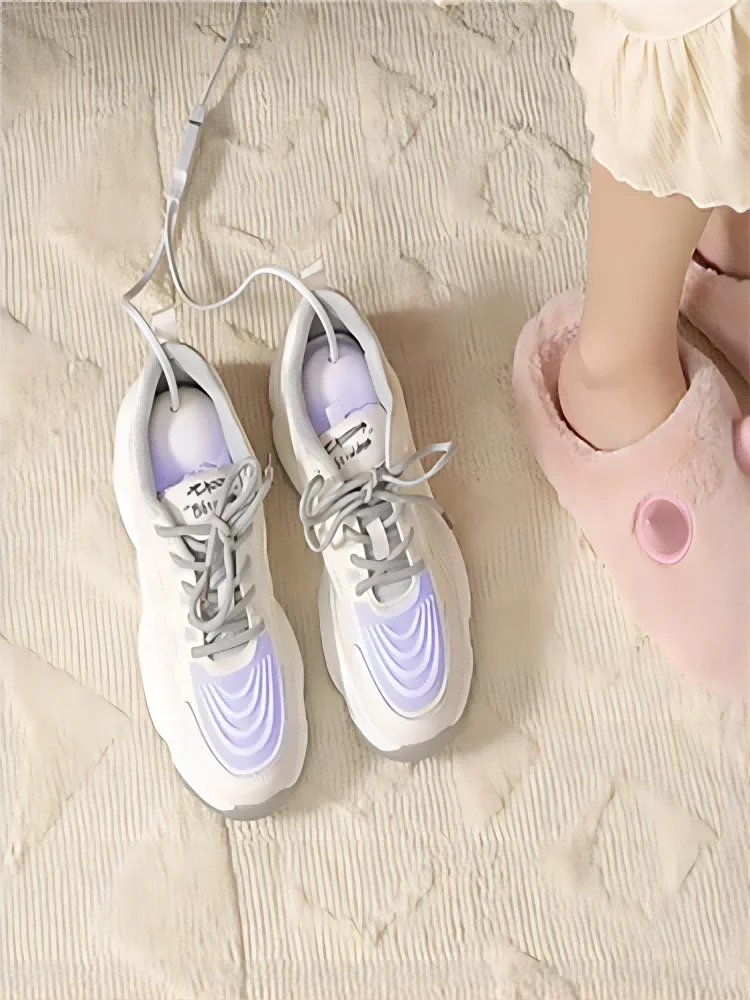 Portable Shoe Dryer Multi-Functional Dehumidification, Deodorization, Foot Warming, Suitable For Adults And Children