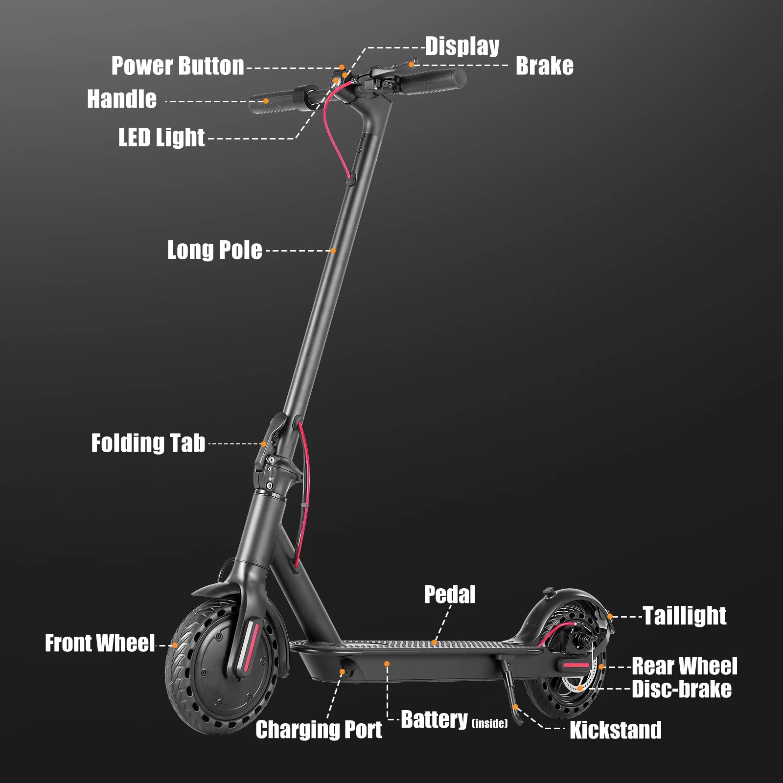 AiliFE Electric Scooter with Smart App 36V Battery 19Mph 350 Motor 8.5Inch Tyres Foldable Escooter