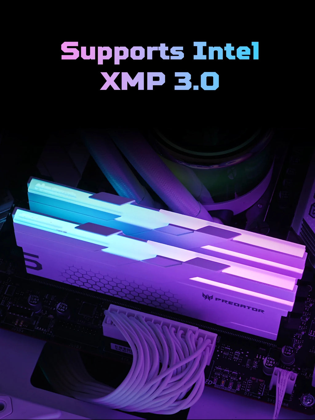 ACER PREDATOR  RGB DDR5 RAM Memory 32GB(2x16GB) 6000MHz, CL28, Gaming Computer Memory Compatible with XMP 3.0/AMD EXPO