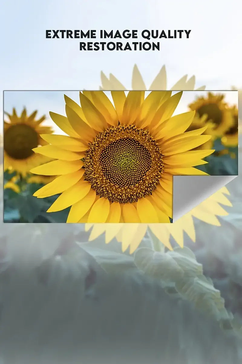 Simple anti glare screen, 60-110 inches, no need to drill holes for installation, high-definition 4K projection screen