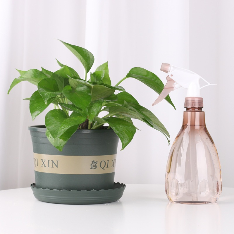 Household spray can-green-PP+PET-600ml-1 piece
